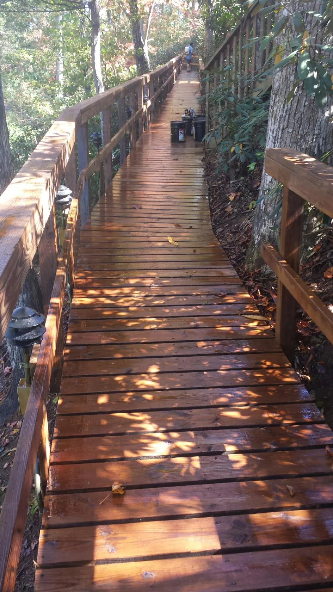 Freshly stained wood walkway winding through the woods in Homeland